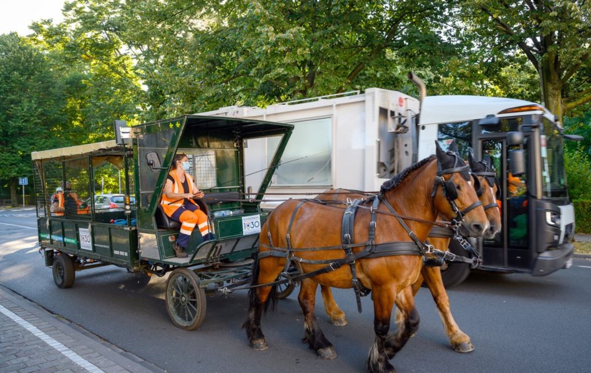 Каруца с коне събира боклук в квартал на Брюксел